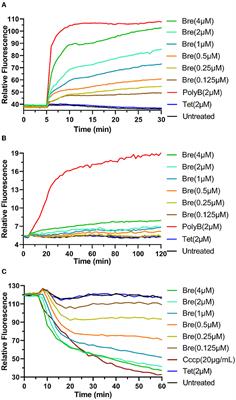 Brevicidine acts as an effective sensitizer of outer membrane-impermeable conventional antibiotics for Acinetobacter baumannii treatment